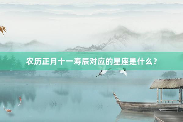 农历正月十一寿辰对应的星座是什么？